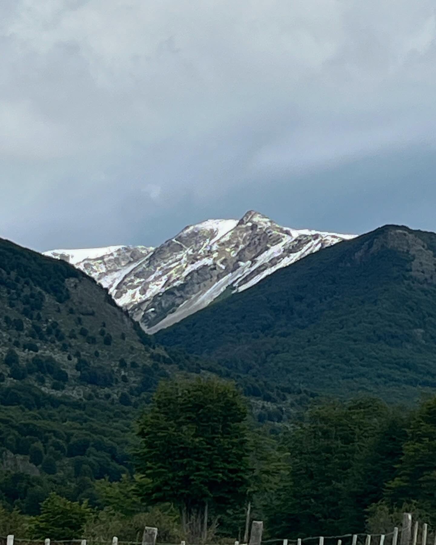 Patagônia Chilena - Isla Navarino