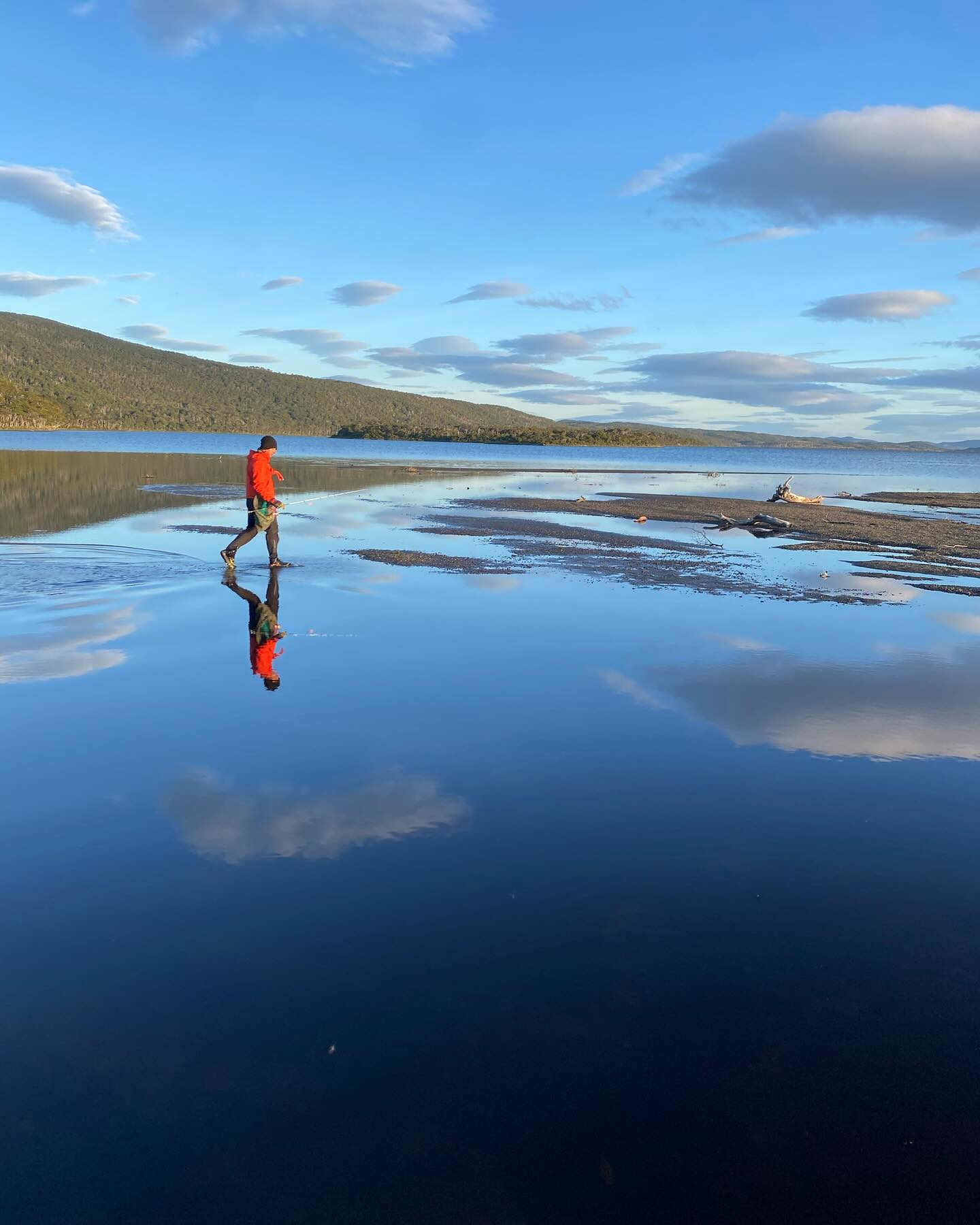 Patagônia Chilena - Isla Navarino